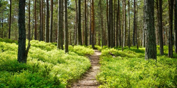 things to do - hike ADKs